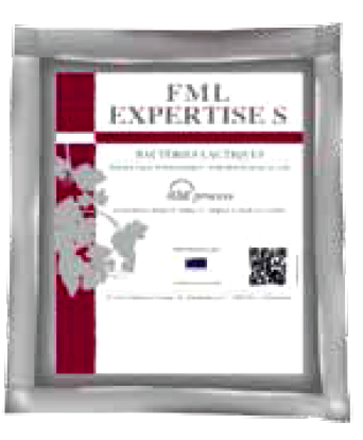 FML Espertise S 25 HL