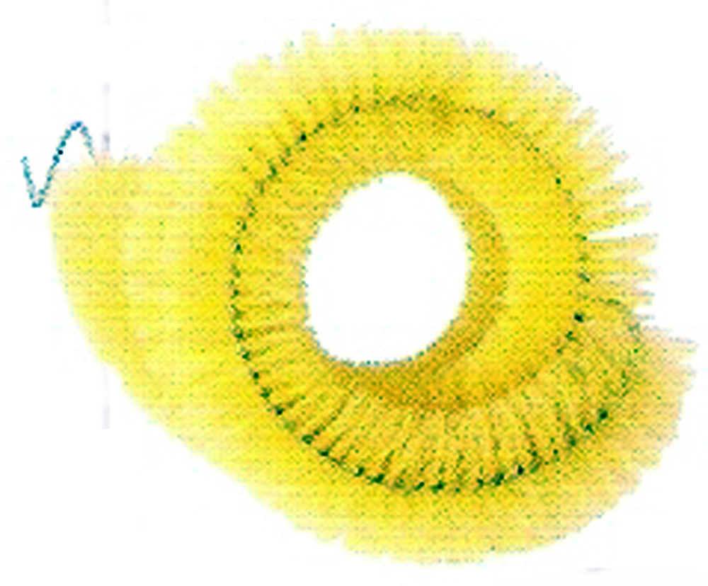 Spazzola lavaggio esterno