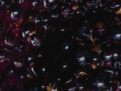 chiarifica vino rosso