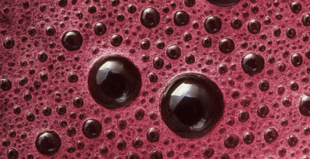 fermentazione malolattica