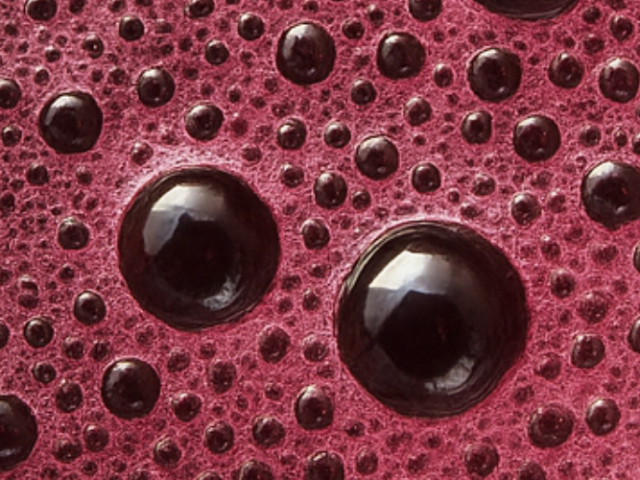 fermentazione malolattica