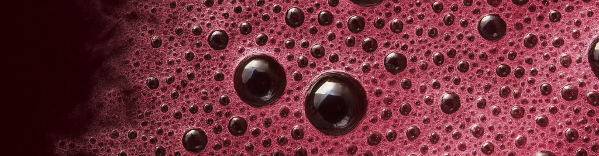 fermentazione malolattica