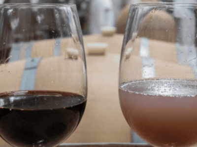 chiarifica vino consigli