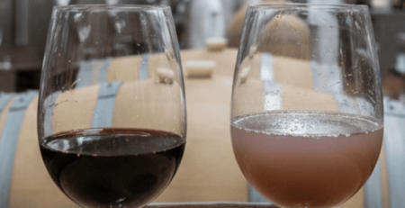 chiarifica vino consigli
