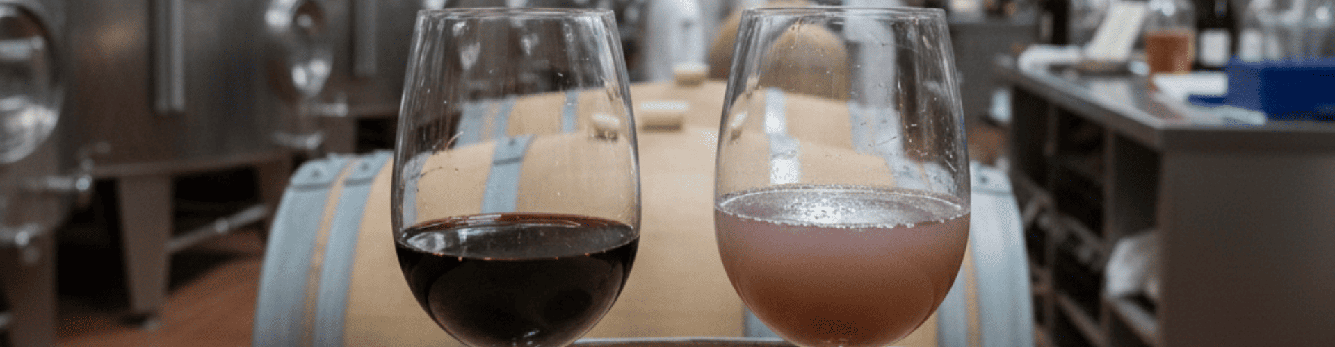 chiarifica vino consigli